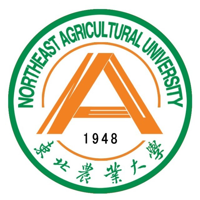 研線網