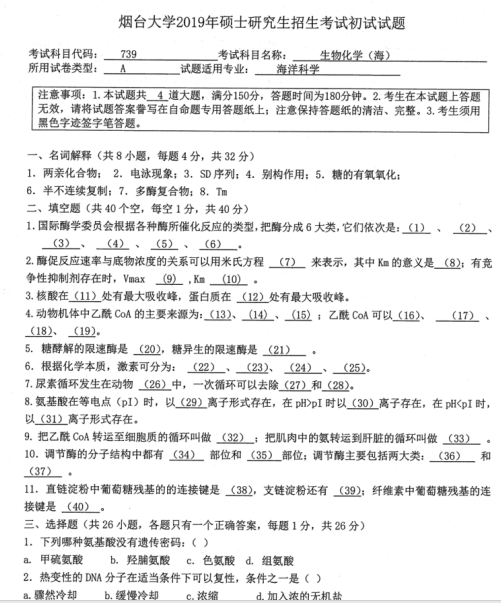 考研真題:2019年煙臺大學外國語學院碩士研究生招生考試初試自命題